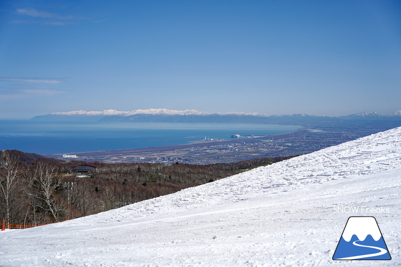 サッポロテイネ　真っ白な雪、澄んだ青空。ゴールデンウィーク２日目は、旭岳～羊蹄山まで見渡せる絶好の春スキー＆スノーボード日和に☆